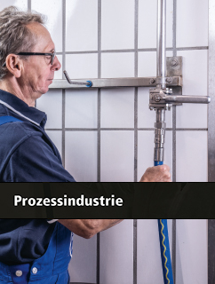 Prozessindustrie Programm
