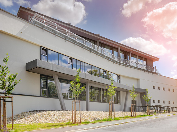 1 Lu Decke Akademie