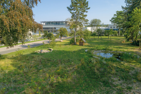 Bild Thomasgarten Firma Lüdecke