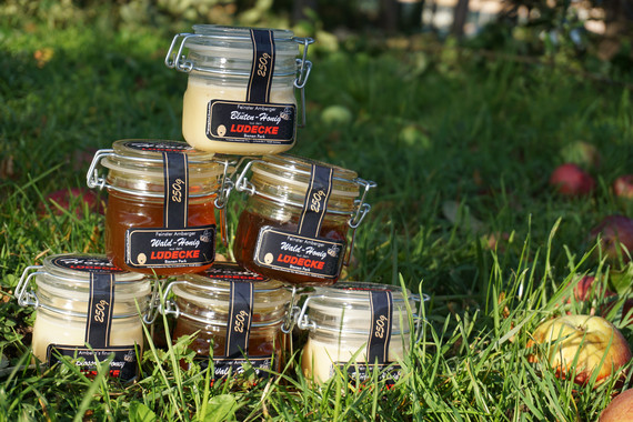 03 Bienen