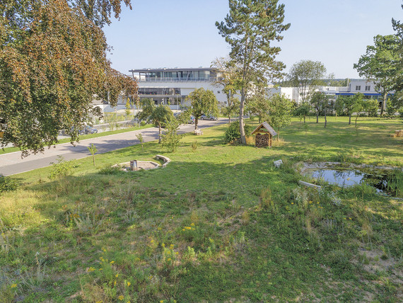 6 Akademie Park
